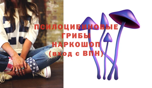 ешки Навашино