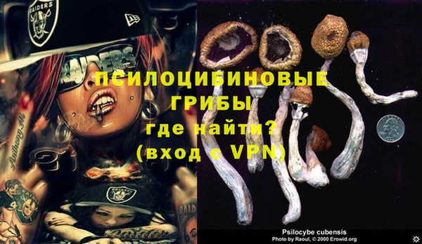 ешки Навашино