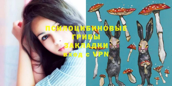 винт Надым