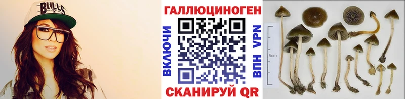 darknet телеграм  Грязи  Псилоцибиновые грибы Cubensis 