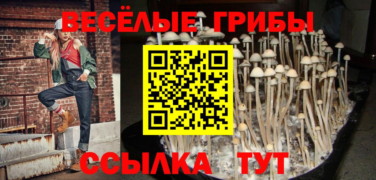 Грязи  Псилоцибиновые грибы MAGIC MUSHROOMS  Вход с VPN 