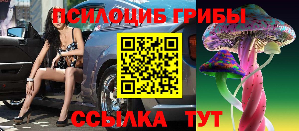 Галлюциногенные грибы Magic Shrooms  Галлюциногенные грибы GOLDEN TEACHER  Грязи 