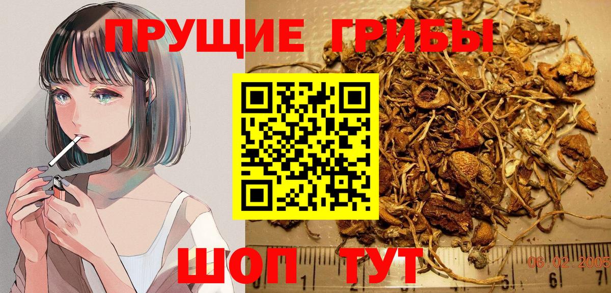 Псилоцибиновые грибы мухоморы Грязи